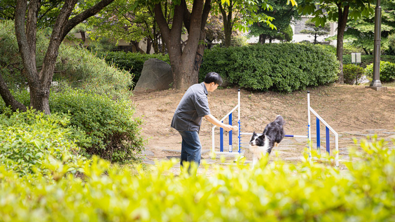 반려동물산업전공