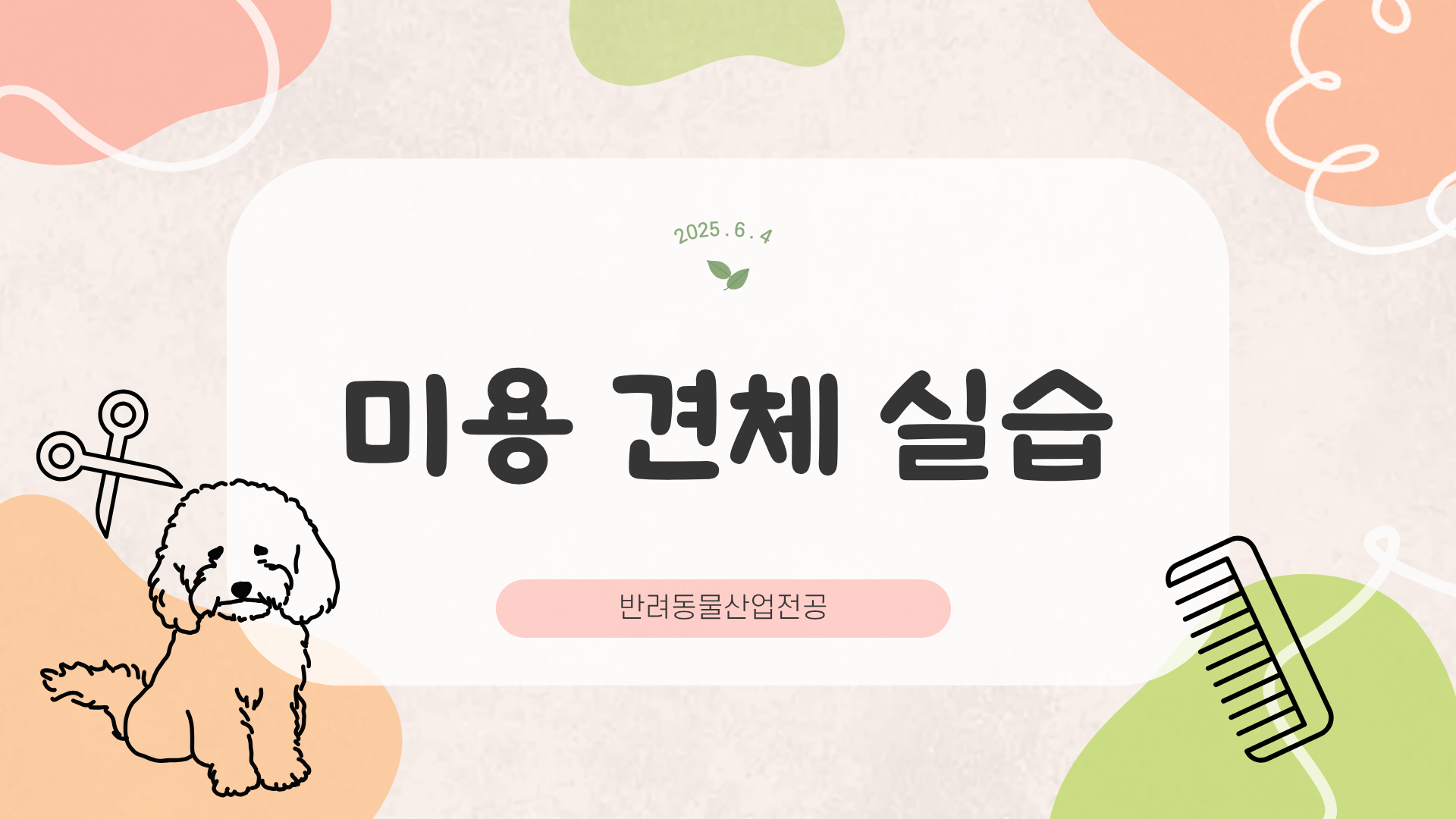 25.6.4 반려동물산업 미용 견체 실습