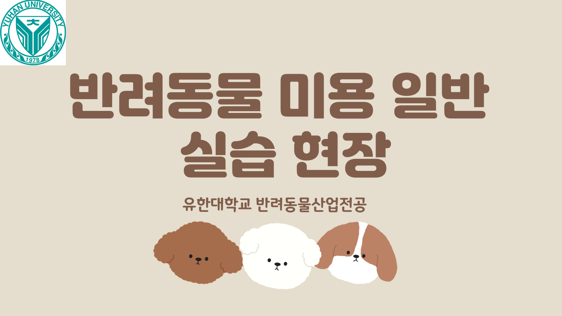 반려동물 미용 일반 실습 현장