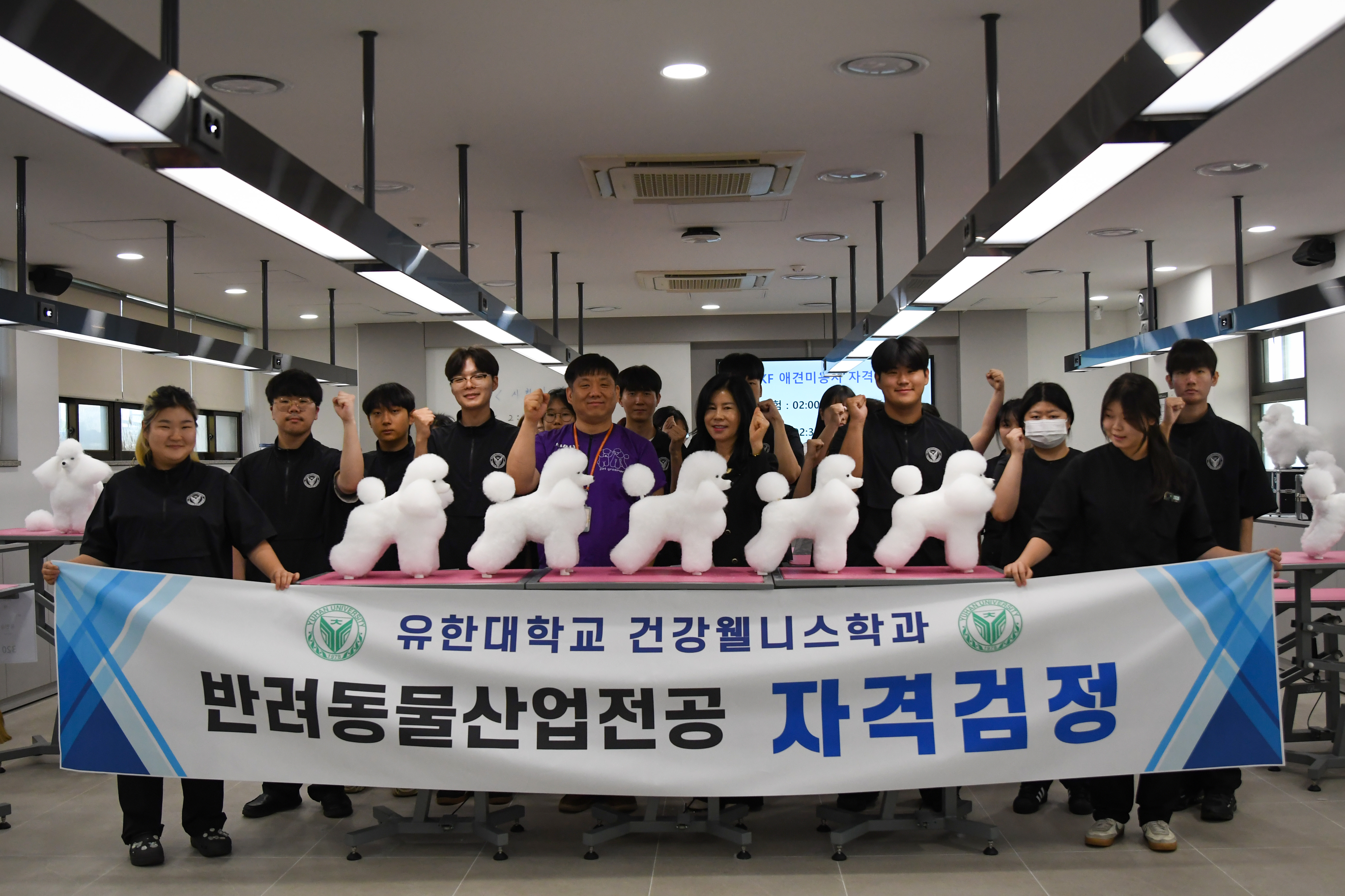 애견미용 자격검정