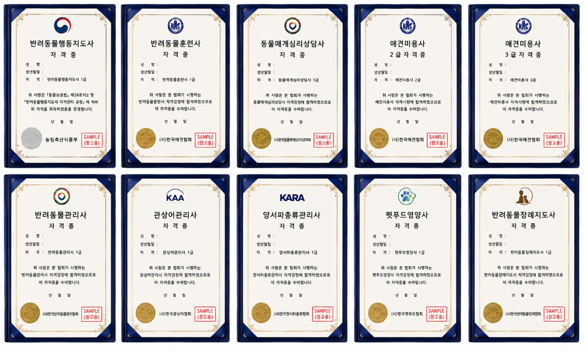 홈페이지_자격증00.png