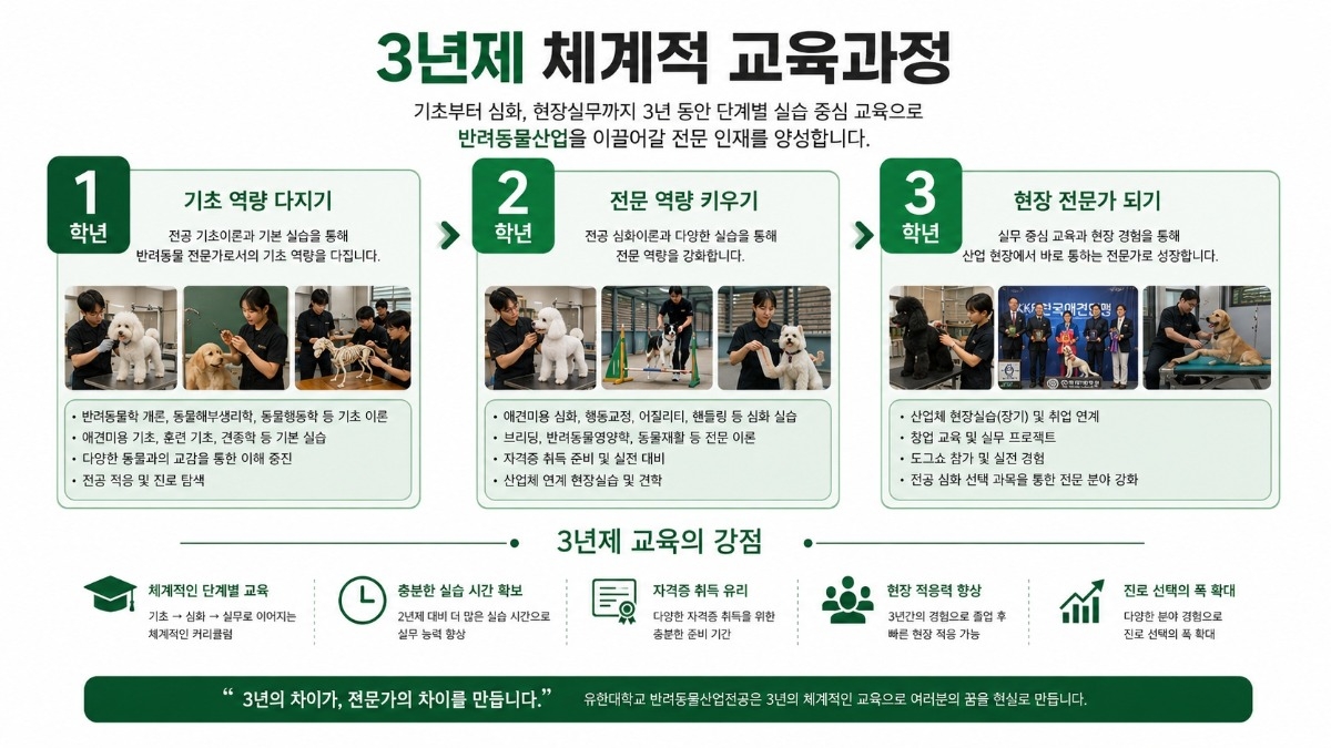 3년제 교육과정.jpg
