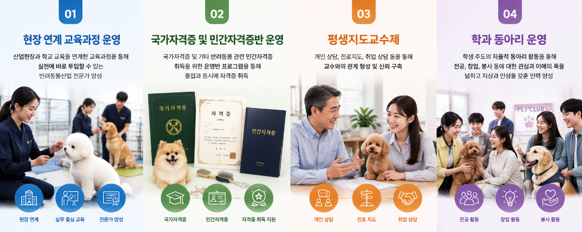 홈페이지_차별점.png