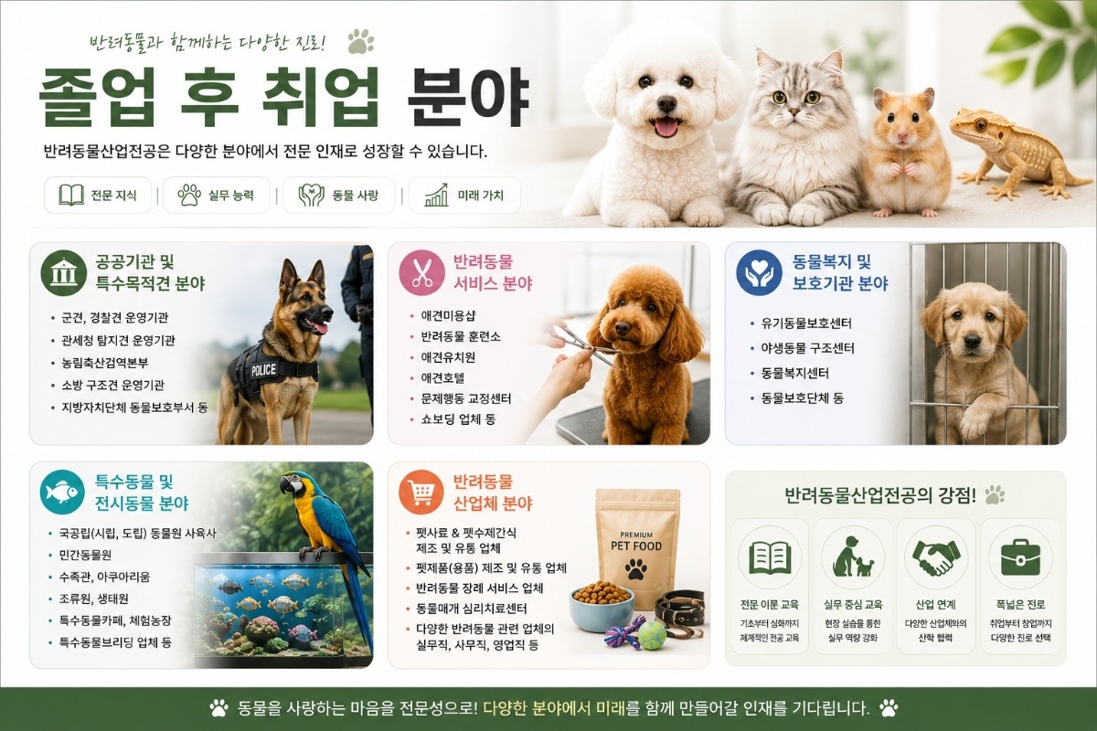 취업분야0.jpg